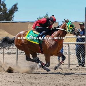 Meet your Posher, Ivan